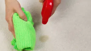 Person using cloth and spray bottle to protect carpet from stains
